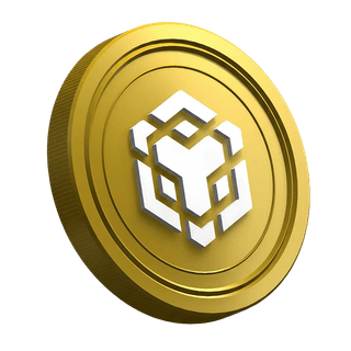 BNB coin from Binance displayed on a beginner trader guide page